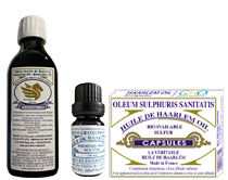 haarlem products